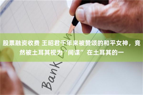 股票融资收费 王昭君千年来被赞颂的和平女神,竟然被土耳其视为“间谍” 在土耳其的一