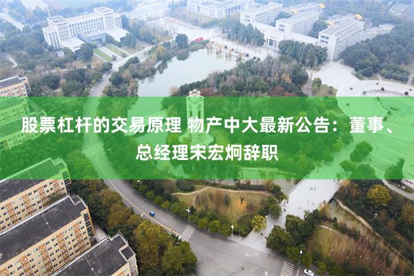 股票杠杆的交易原理 物产中大最新公告:董事、总经理宋宏炯辞职