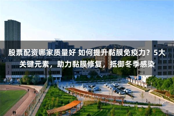 股票配资哪家质量好 如何提升黏膜免疫力？5大关键元素，助力黏膜修复，抵御冬季感染