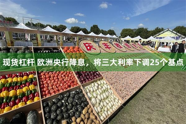 现货杠杆 欧洲央行降息，将三大利率下调25个基点