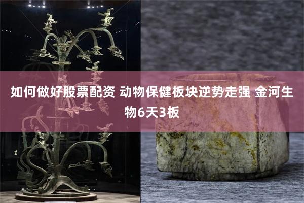 如何做好股票配资 动物保健板块逆势走强 金河生物6天3板