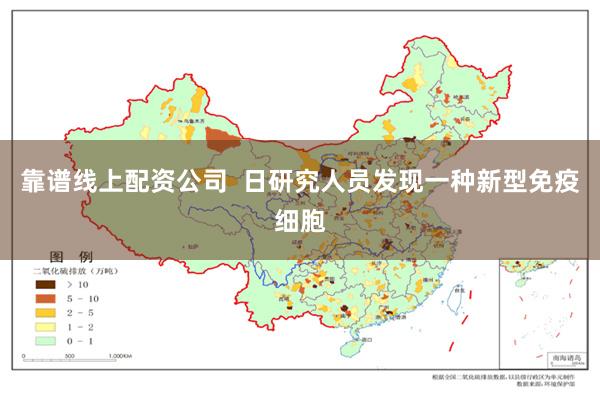 靠谱线上配资公司  日研究人员发现一种新型免疫细胞